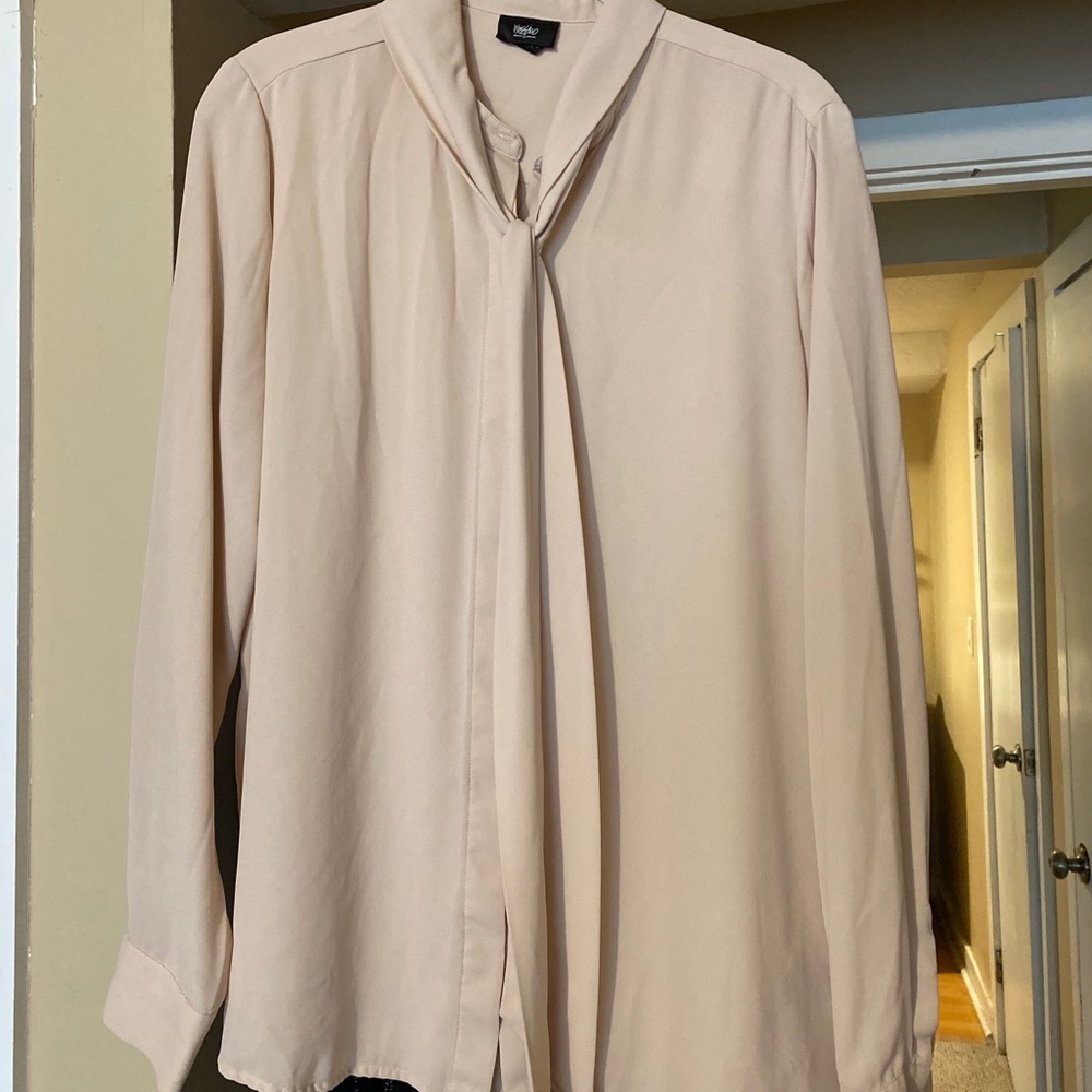 Blush Pink Button Down Dress Shirt with tie
